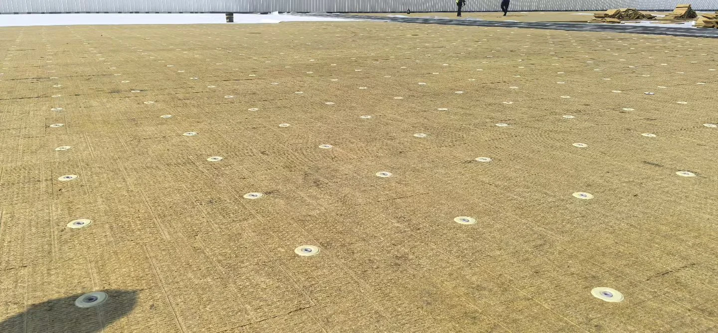 Insulation and fixing pattern